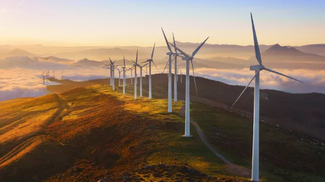 windmills